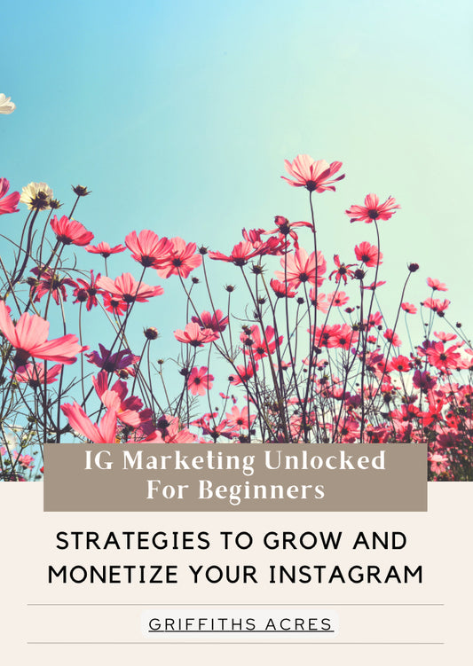 IG Marketing Unlocked for Beginners